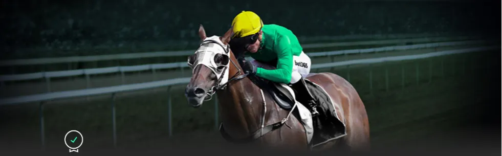 英超第,利物浦,力克布赖顿,世界杯赛程,2026世界杯,赛程时间,比赛城市,球队信息